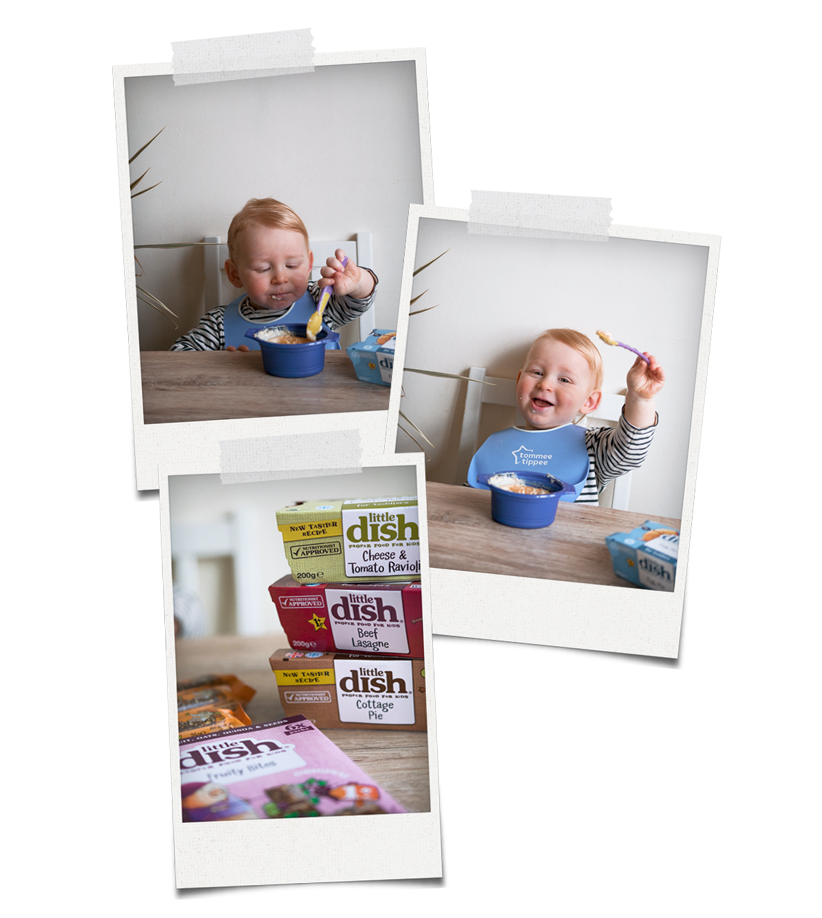 baby bjorn little dish review highchair toddler messy eating